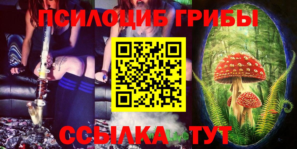 Псилоцибиновые грибы Cubensis Белогорск