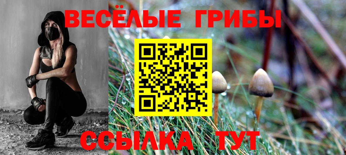 Галлюциногенные грибы мицелий  Вход с VPN  где купить наркоту  Белогорск 